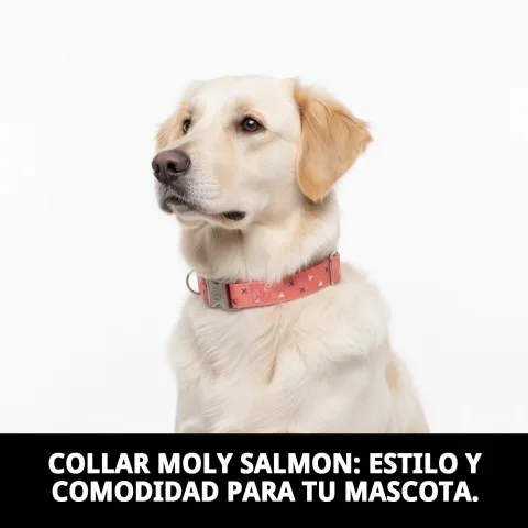 Collier Moly Salmon T-6 en nylon résistant pour chiens