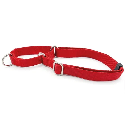 Détail du nylon résistant du collier