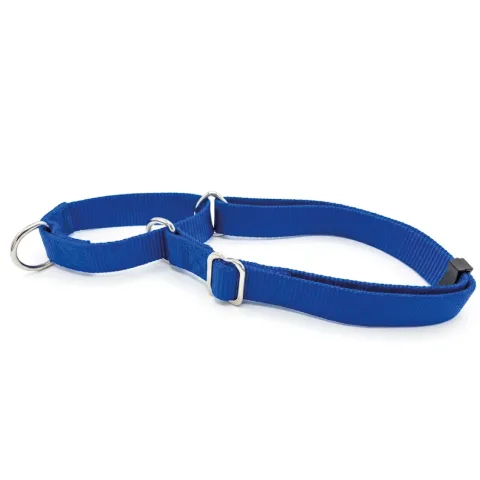 Collier nylon pour dressage 85x2.5 cm