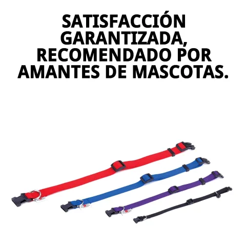 Personnalisation du collier nylon avec étiquettes et accessoires