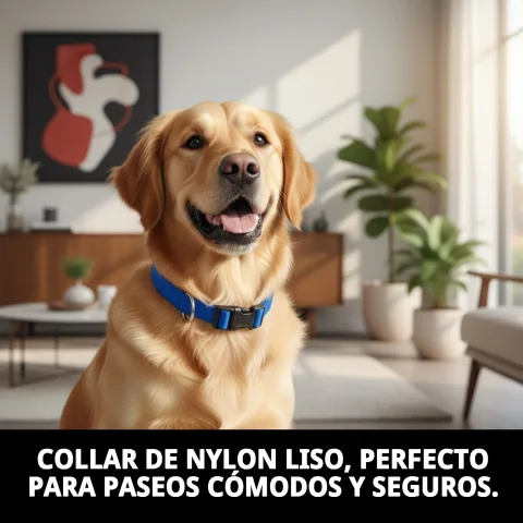 Matériau résistant du collier nylon lisse bleu pour chiens