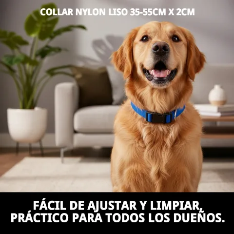 Collier nylon bleu pour chiens lors d'une promenade en extérieur