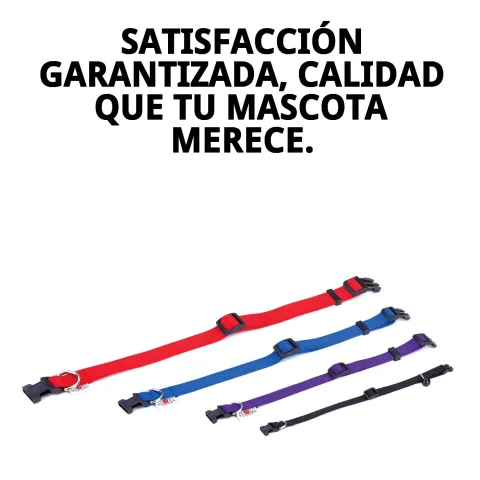 Fermeture sécurisée du collier nylon lisse bleu pour chiens actifs