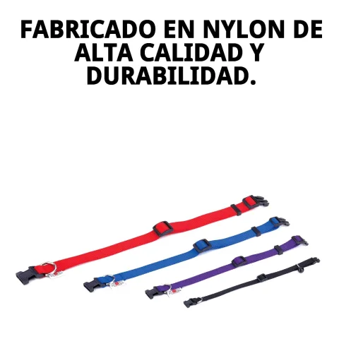 Collier nylon lisse sur un chat au pelage clair