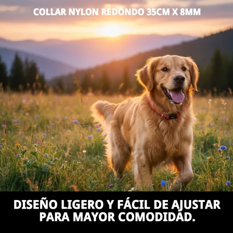 Animal avec collier nylon rond pour promenade quotidienne
