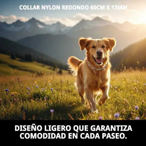 Collier nylon léger pour un confort prolongé du chien