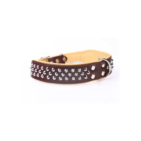 Vue latérale du collier cuir luxury clavo pour chiens