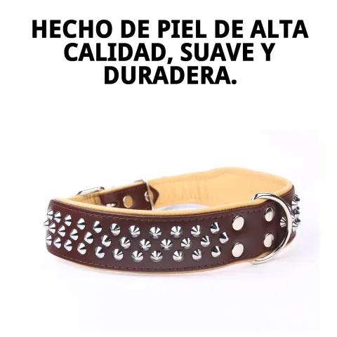Matériau cuir de haute qualité du collier luxury clavo