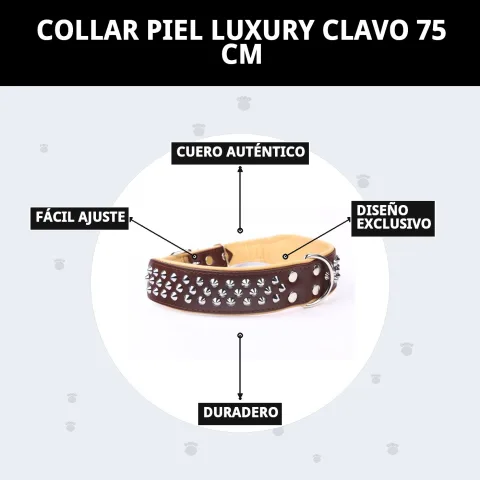 Collier cuir luxury clavo plié montrant qualité et design