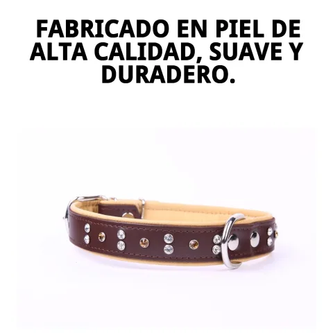 Chien avec collier cuir luxury cristal 56 cm rouge en promenade
