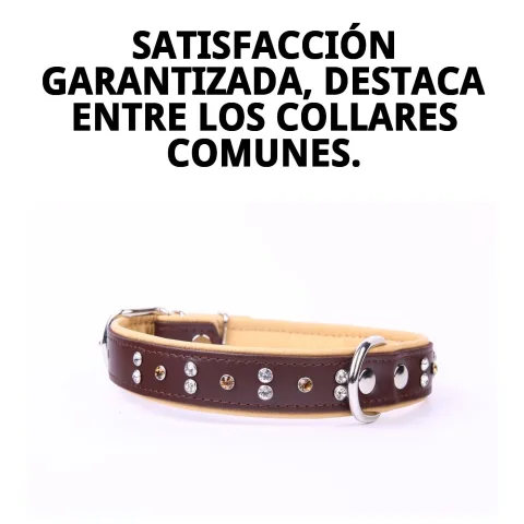 Cristaux brillants en détail sur collier cuir luxury 56 cm
