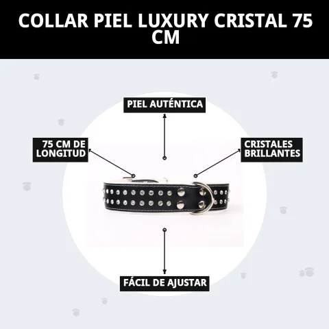 Collier cuir luxury cristal sur fond neutre pour catalogue