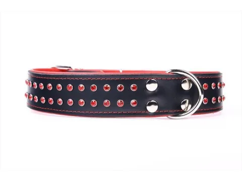Collier luxury cristal blanc pour chiens moyens et grands