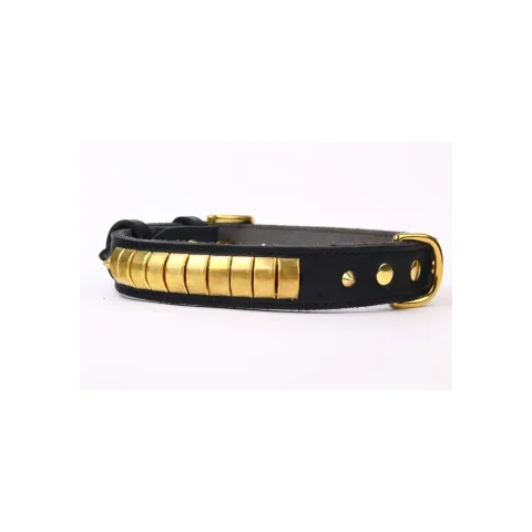 Fermeture robuste du collier cuir luxury pour chiens