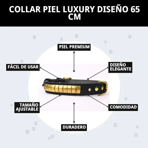 Présentation du collier luxury dans son emballage Compa Pattes