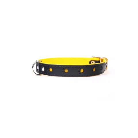 Vue latérale du collier cuir luxury huella pour chiens