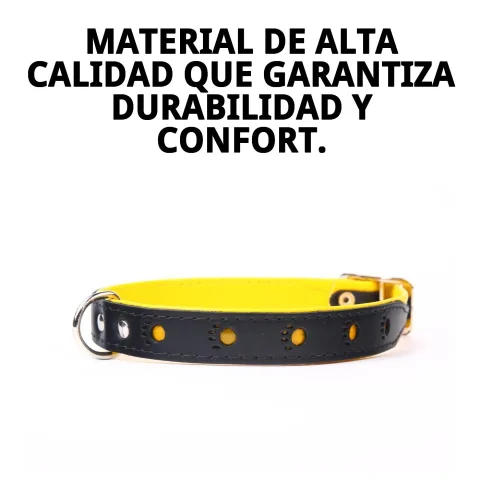 Collier cuir luxury huella porté par un chien de taille moyenne