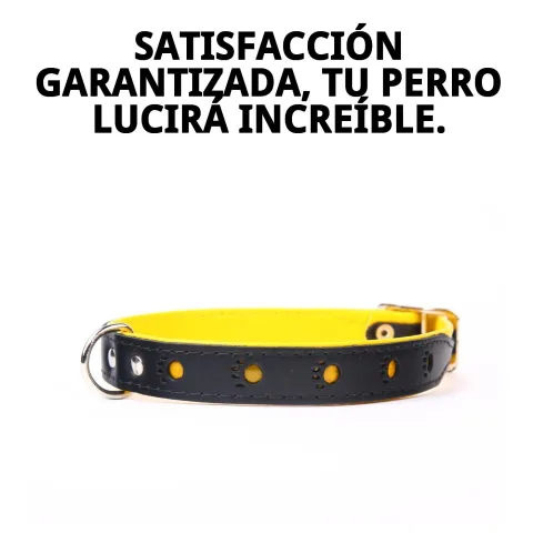 Collier cuir luxury huella reflétant la lumière jaune
