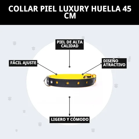 Collier luxury huella en extérieur lors d'une promenade nocturne