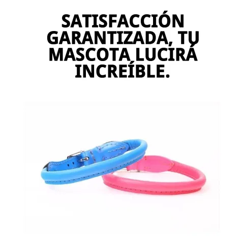 Usage quotidien du collier cuir luxury rond lors d'une promenade canine