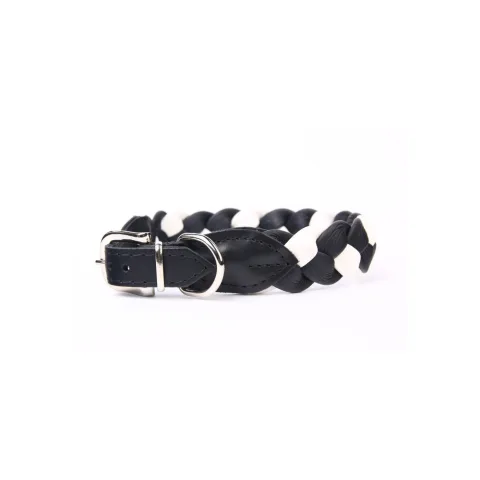 Collier en cuir Luxury porté par un chien