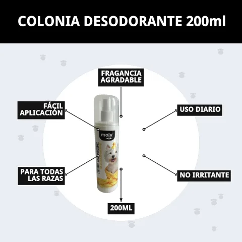 Flacon de cologne Moly sur fond blanc