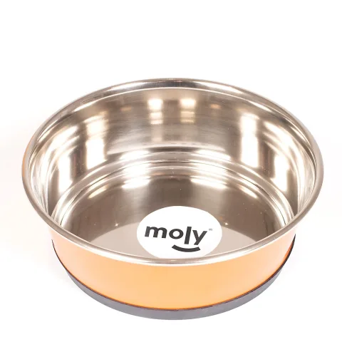 Base amovible en silicone de la gamelle Moly pour un nettoyage facile