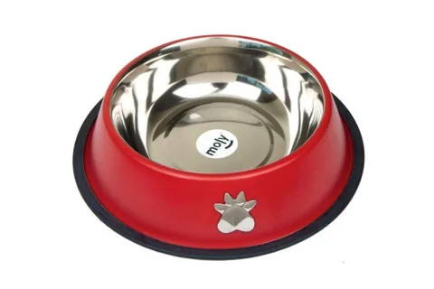 Gamelle acier Motif posée au sol avec chien mangeant