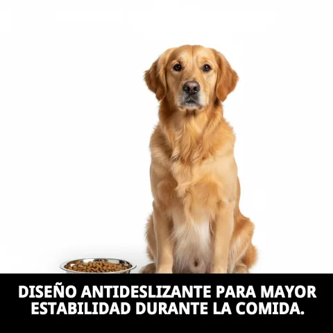 Utilisation de la gamelle acier Eco pour repas de chien