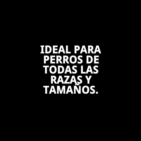 Gamelle Break N.4 remplie d'eau utilisée comme récipient pour un chat moyen