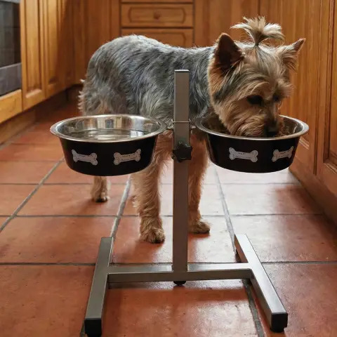 Support métallique ajustable en hauteur pour chiens moyens et grands