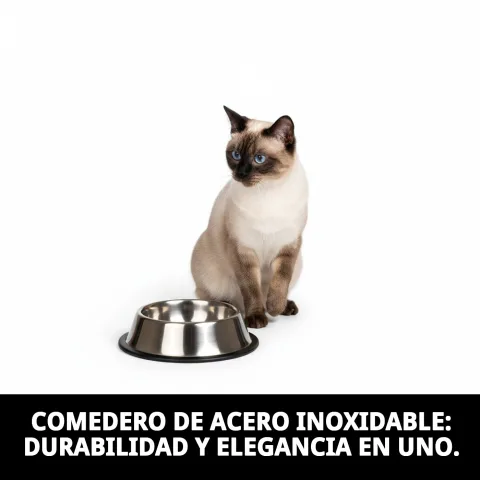Chat mangeant dans la gamelle en acier inoxydable Draw