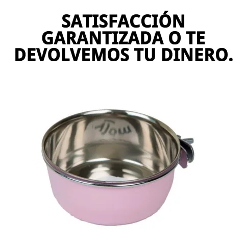 Utilisation de la gamelle multi-usages Cake dans un foyer avec plusieurs animaux
