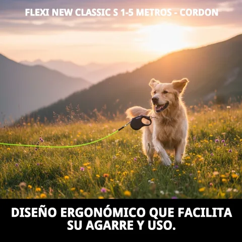 Main tenant la poignée ergonomique de la laisse Flexi New Classic S