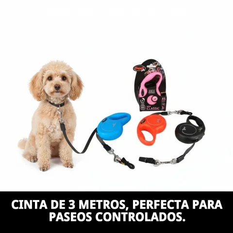 Laisse Flexi New Classic XS utilisée avec un petit chien