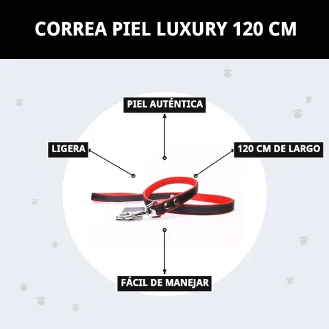 Laisse cuir Luxury 120 cm sur fond neutre pour catalogue
