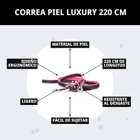 Emballage et présentation de la laisse cuir luxury