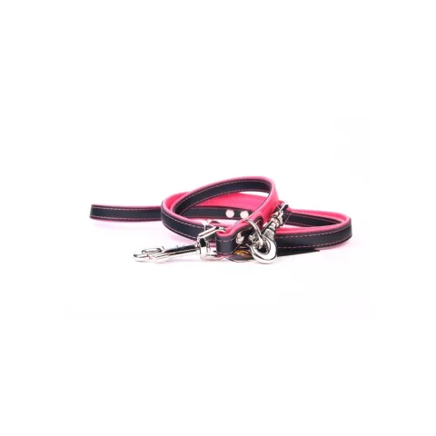 Laisse luxury en usage avec chien en promenade