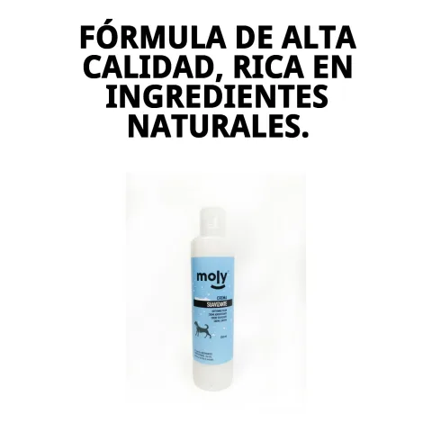 Brossage d'un chien avec pelage démêlé après usage de la crème Moly