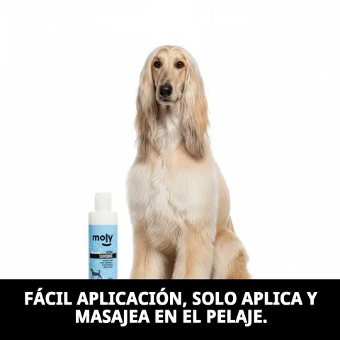 Différents formats de la crème adoucissante Moly pour animaux