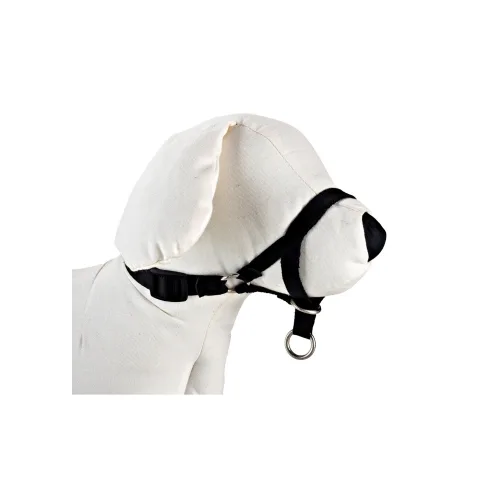 Collier DOG CONTROL N.1 porté par un chien pour contrôle des tirages