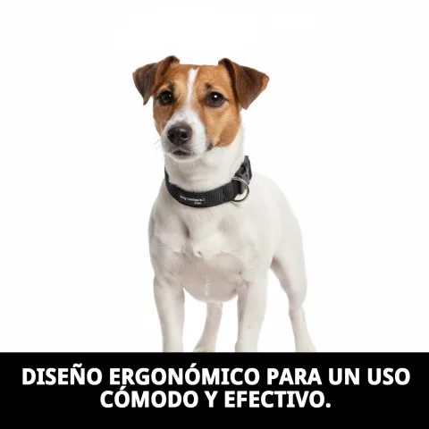 Chien utilisant le collier DOG CONTROL N.1 pendant l’éducation