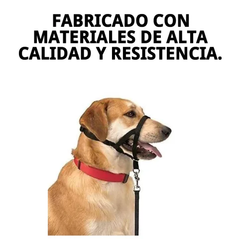 Matériau robuste du collier Dog Control N.4 en gros plan