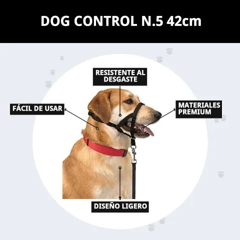 Collier Dog Control N.5 utilisé lors d'une séance d'éducation canine