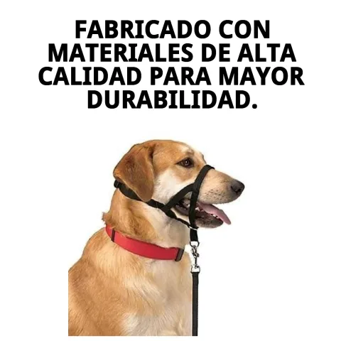 Collier Dog Control N.5 montrant son système de contrôle