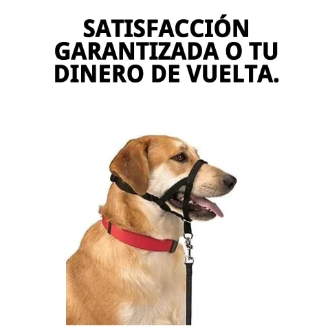Emballage du collier Dog Control N.5 pour vente en ligne