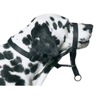 Détail du matériau résistant de la museruola DOG CONTROL N.7
