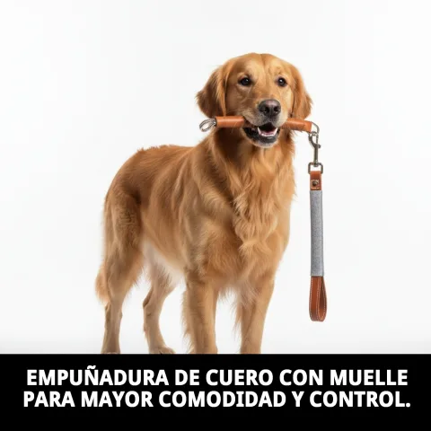 Prise en main ergonomique de la poignée 45 cm pour chiens