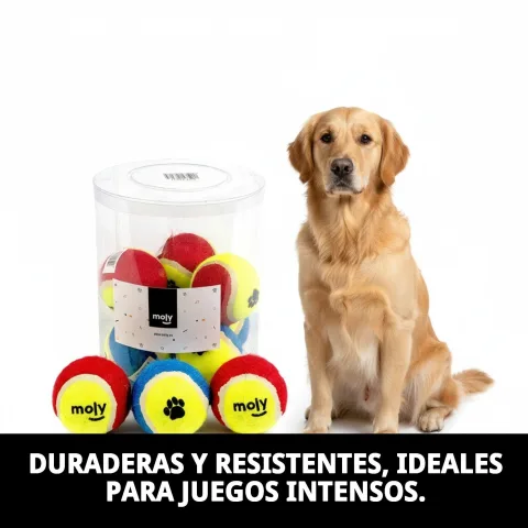 Détail balle de tennis avec empreintes pour chiens