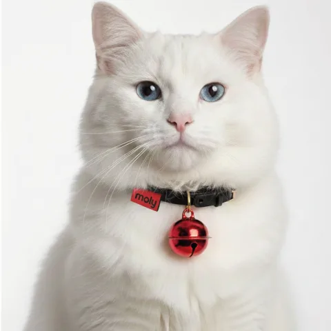 Grelot rouge fixé sur collier de chat pour localisation
